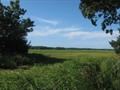Essex MA Real Estate Photo