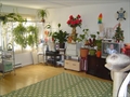 Weymouth Massachusetts townhouse photo