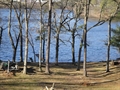 Natick MA real estate photo