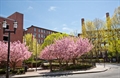 Lowell MA condo for sale photo