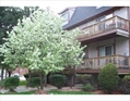 West Roxbury MA Condo for sale