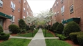 Brighton MA Condo for sale