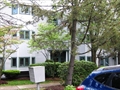 Jamaica Plain Boston MA Condo for sale
