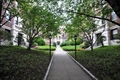 Brighton's Cleveland Circle Boston MA real estate