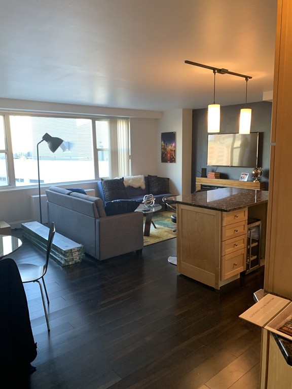 Luxury Boston Tremont On The Common Boston Condos and Apartments