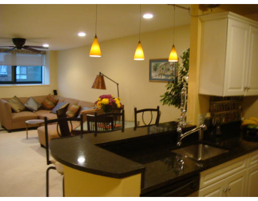 Boston Condos and Luxury Boston Real Estate For Sale