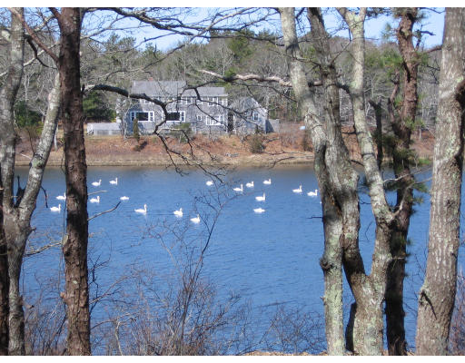 105 Meadow Neck Rd, Falmouth, MA, 02536, USA