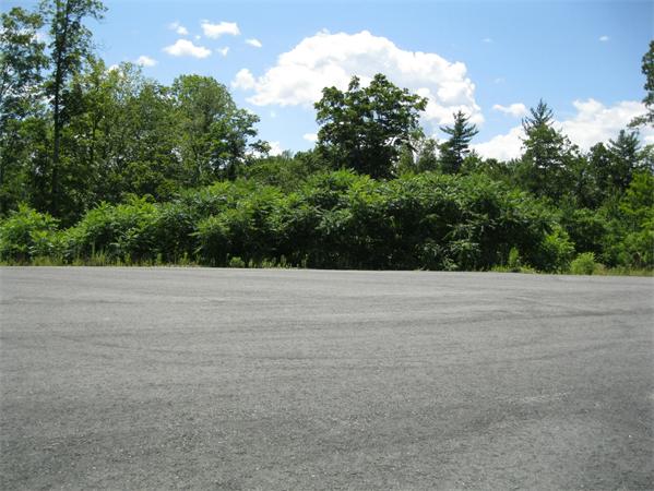 Autumn Hills, Sandown, NH 03873, MLS #71025759