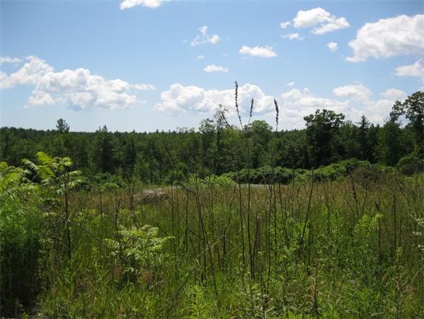 Autumn Hills, Sandown, NH 03873, MLS #71025759