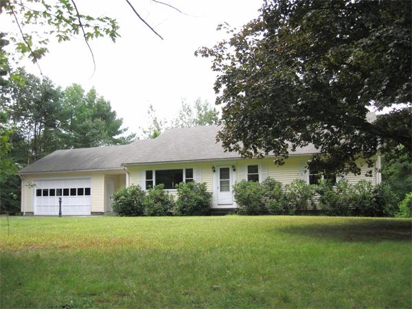 393 Forest Street
