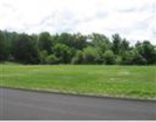 10 Jungle Road