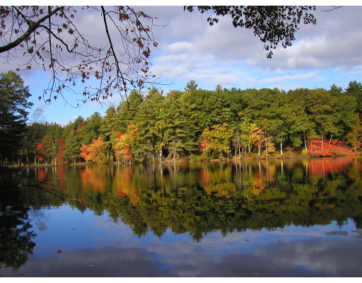 Bostonrealestatema.com