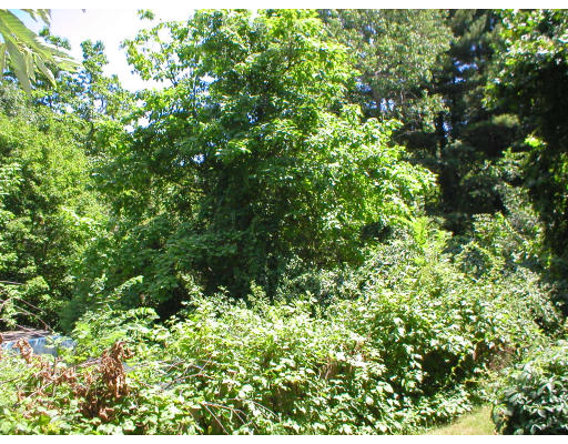 Lot 72-20 Phelps Street, Marlborough, MA 01752 MLS #71115646