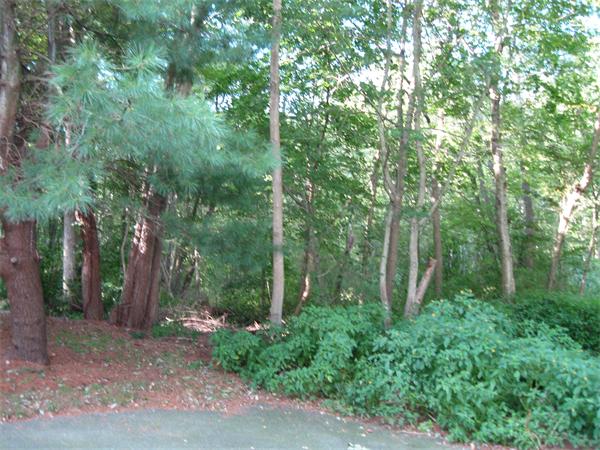 Real Estate for Sale, ListingId:15801141, location: 0 Evelyn St Dartmouth 02747
