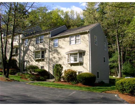28 Pine View