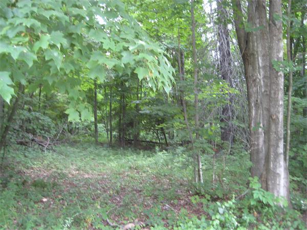 193 Chicopee