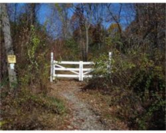 Lot B Linden