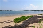 Chatham MA real estate photo
