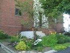 Everett MA townhome photo