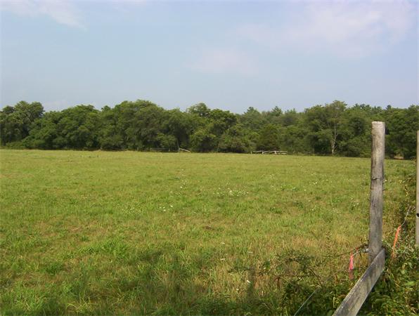 88 Wing Lane