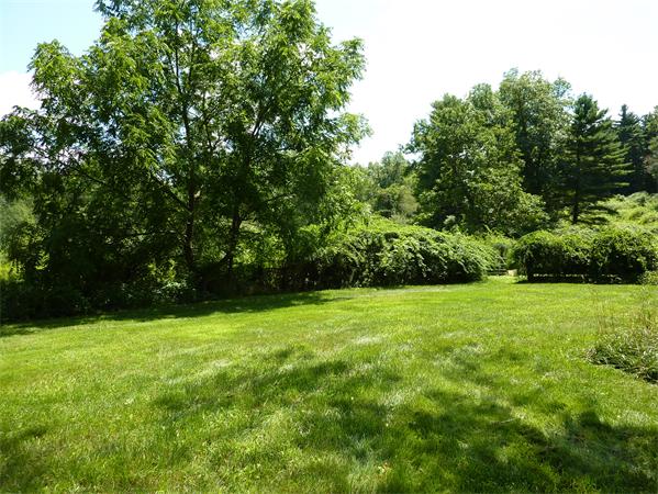 22 Treadwell Dr
