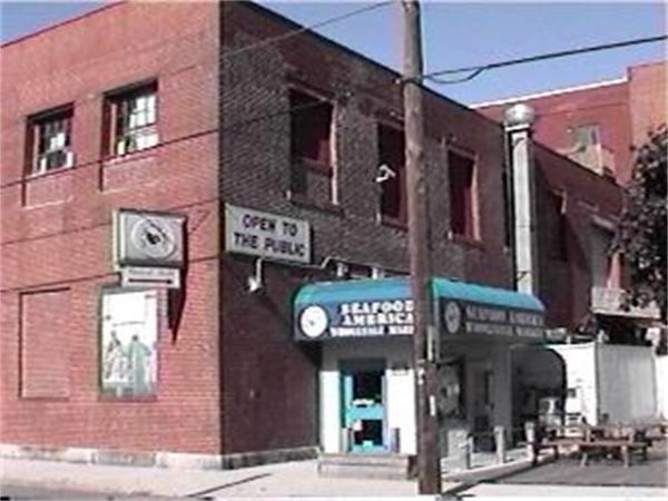 175 Alley Street