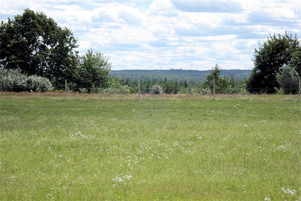 Lot A Elizabeth Lane
