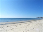  Mass condo for sale photo