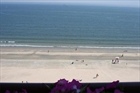Revere Massachusetts real estate