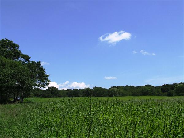 0 Pine Hill Rd- Turtle Rock Lane