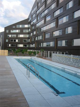Dorchester Ave #402, Boston, MA Photo #14