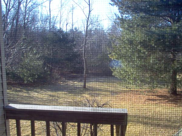 23 Castlegate Dr