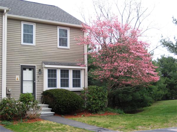 33 Pine View