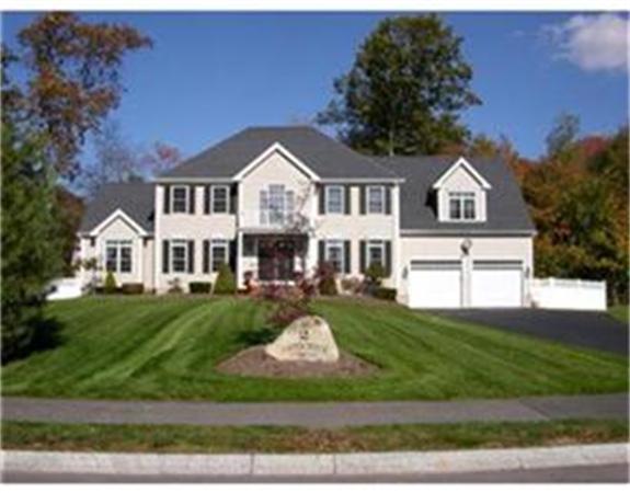 2 copper beech cir