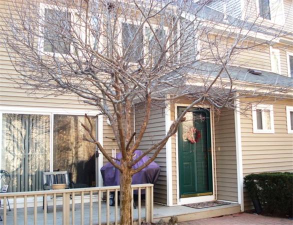 175 Littleton Rd