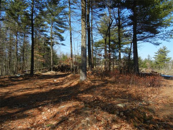 3,4,5&11 Chestnut Lane Ext