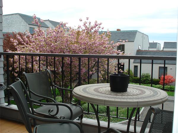 54 Brackett Place
