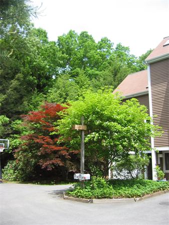 16 Greenridge Lane 16, Lincoln, MA, 01773