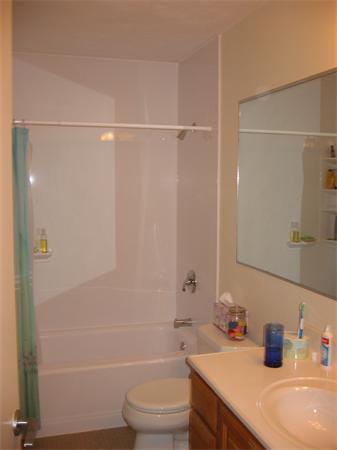 16 Greenridge Lane 16, Lincoln, MA, 01773