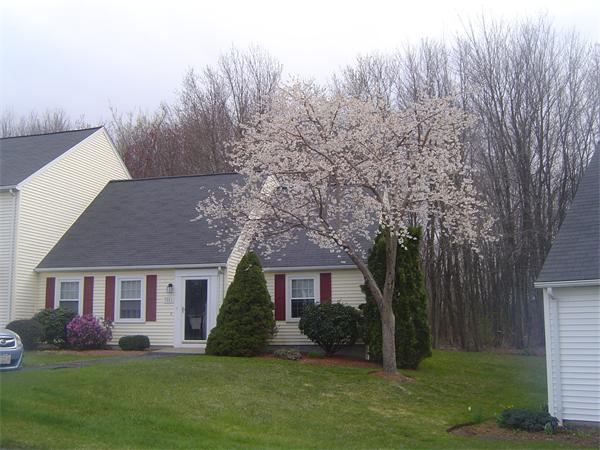 3001 FOREST PARK