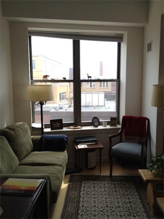 Lofts.com apartments, condos, coops, houses & commercial real estate - South End Lofts (Condo)