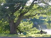 Hopedale MA Real Estate Photo