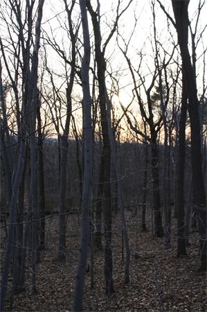 0 main st. (rt.9)