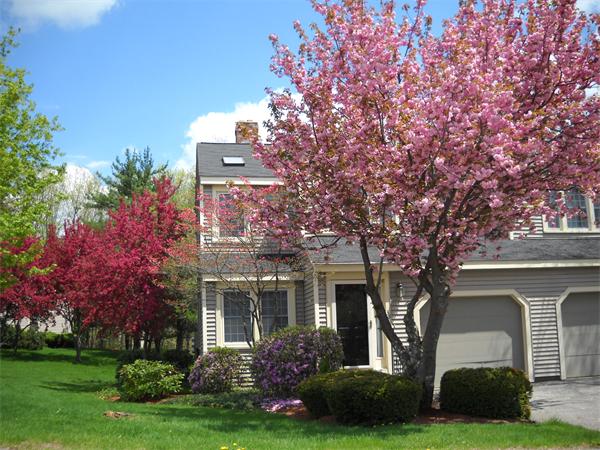 33 Harrington Farms Way