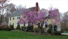house for sale Medway MA photo