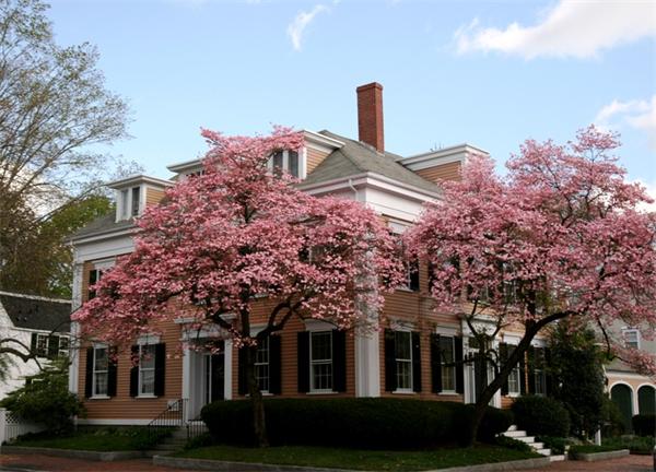 56 High St