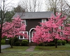 Northampton Massachusetts real estate photo