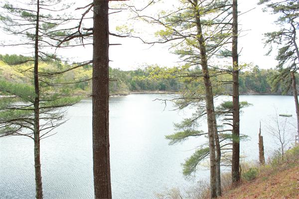 90 College Pond Rd
