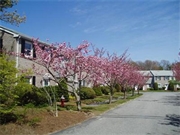 Barnstable MA Real Estate Photo
