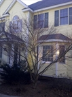 Marlborough MA Real Estate Photo